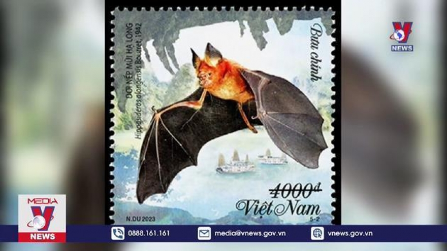 Stamp collection highlights bat preservation